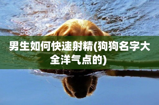 男生如何快速射精(狗狗名字大全洋氣點的) 