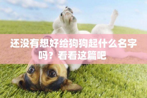 還沒有想好給狗狗起什么名字嗎？看看這篇吧 