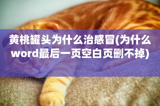 黃桃罐頭為什么治感冒(為什么word最后一頁空白頁刪不掉) 