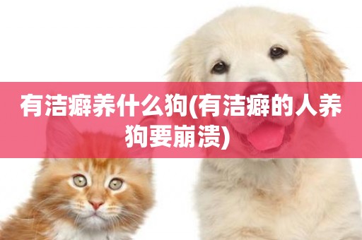 有潔癖養什么狗(有潔癖的人養狗要崩潰) 