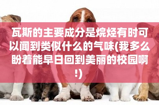 瓦斯的主要成分是烷烴有時可以聞到類似什么的氣味(我多么盼著能早日回到美麗的校園啊!) 
