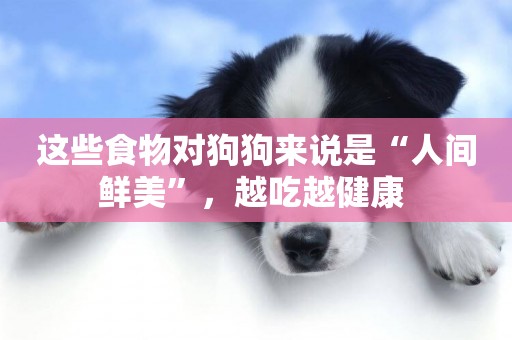 這些食物對狗狗來說是“人間鮮美”，越吃越健康 