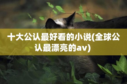 十大公認最好看的小說(全球公認最漂亮的av) 