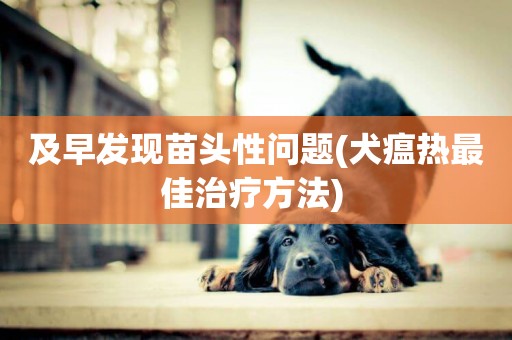 及早發現苗頭性問題(犬瘟熱最佳治療方法) 