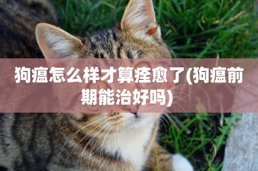狗瘟怎么樣才算痊愈了(狗瘟前期能治好嗎) 