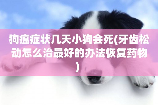 狗瘟癥狀幾天小狗會死(牙齒松動怎么治最好的辦法恢復藥物) 