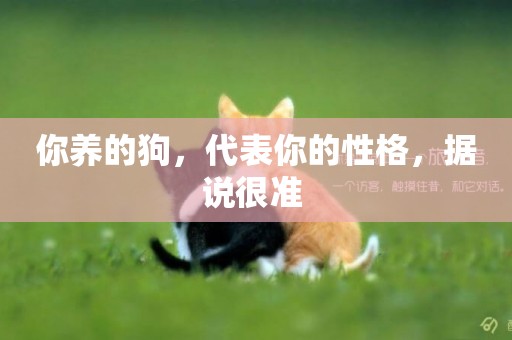 你養的狗，代表你的性格，據說很準 