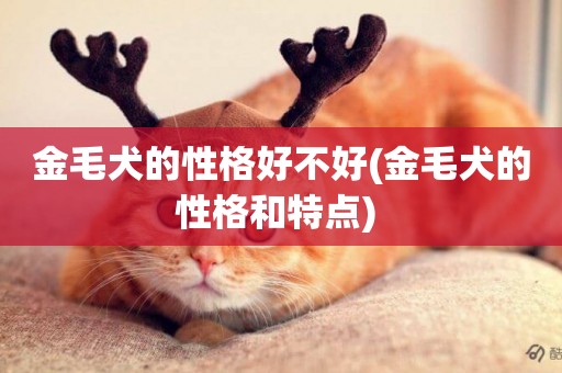 金毛犬的性格好不好(金毛犬的性格和特點) 