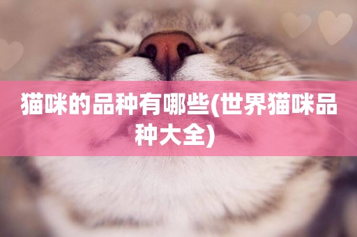 貓咪的品種有哪些(世界貓咪品種大全) 