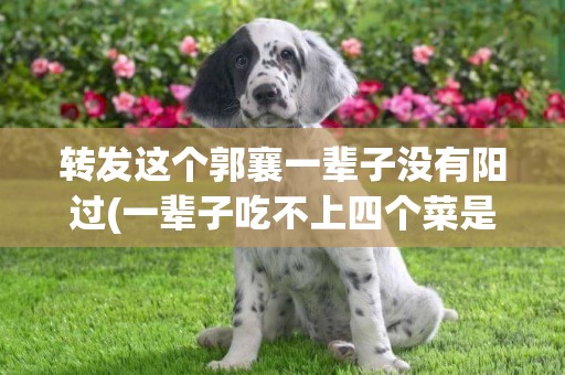 轉發這個郭襄一輩子沒有陽過(一輩子吃不上四個菜是什么意思) 