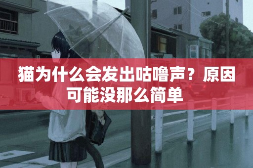 貓為什么會發出咕嚕聲？原因可能沒那么簡單 