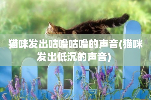 貓咪發出咕嚕咕嚕的聲音(貓咪發出低沉的聲音) 