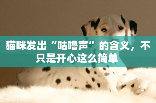 貓咪發出“咕嚕聲”的含義，不只是開心這么簡單 
