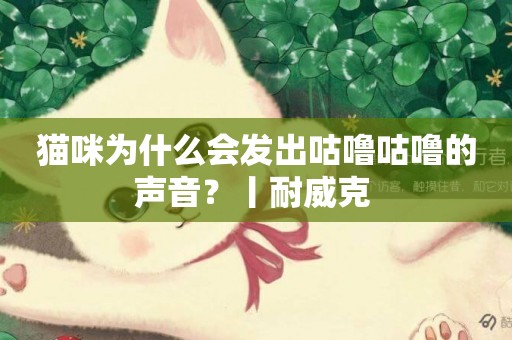貓咪為什么會發出咕嚕咕嚕的聲音？丨耐威克 
