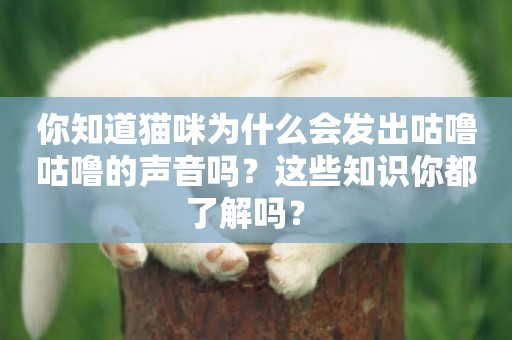 你知道貓咪為什么會發出咕嚕咕嚕的聲音嗎？這些知識你都了解嗎？ 
