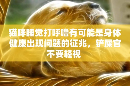 貓咪睡覺打呼嚕有可能是身體健康出現問題的征兆，鏟屎官不要輕視 