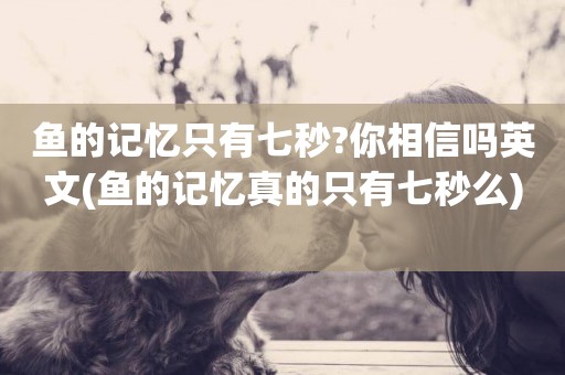 魚的記憶只有七秒?你相信嗎英文(魚的記憶真的只有七秒么) 