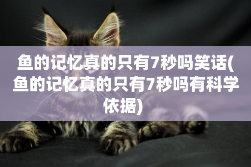 魚的記憶真的只有7秒嗎笑話(魚的記憶真的只有7秒嗎有科學依據) 