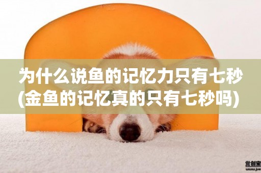 為什么說魚的記憶力只有七秒(金魚的記憶真的只有七秒嗎) 