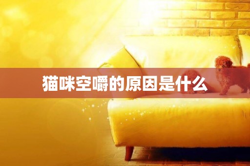 貓咪空嚼的原因是什么