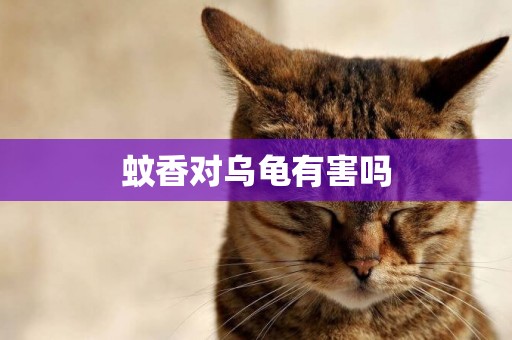 蚊香對烏龜有害嗎