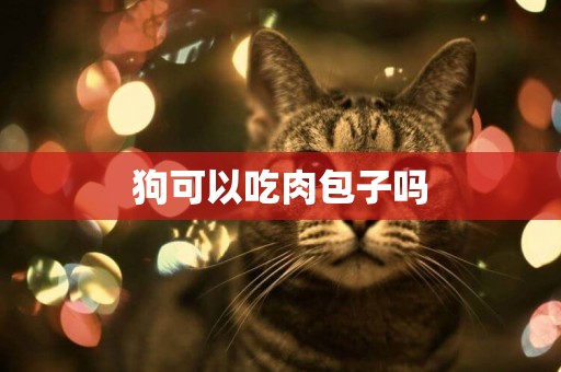 狗可以吃肉包子嗎
