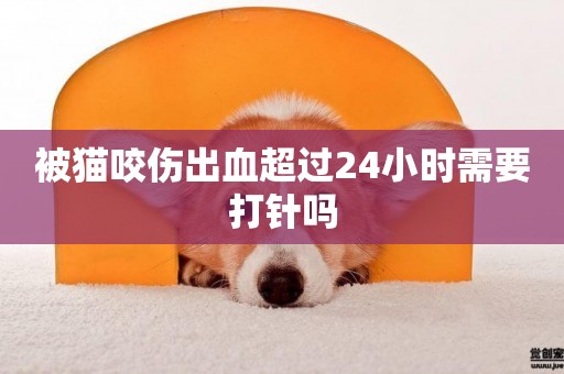 被貓咬傷出血超過24小時需要打針嗎