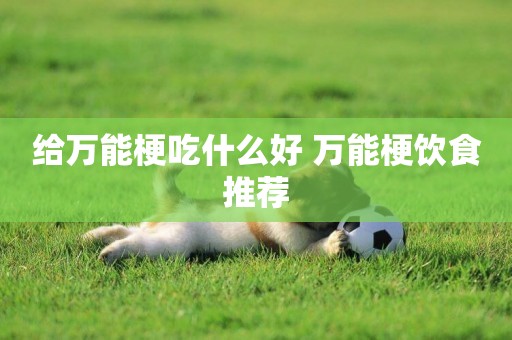 給萬能梗吃什么好 萬能梗飲食推薦