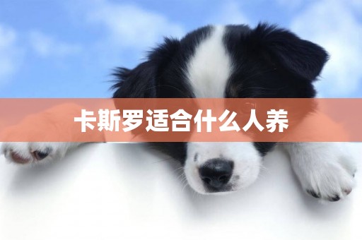 卡斯羅適合什么人養
