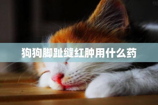 狗狗腳趾縫紅腫用什么藥