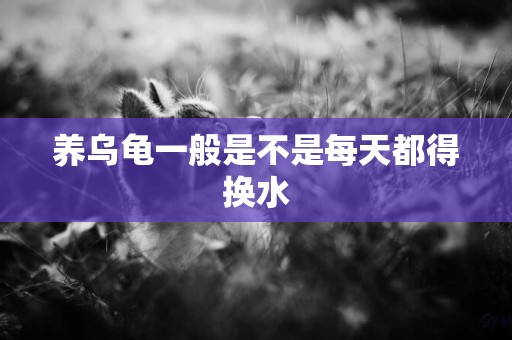 養烏龜一般是不是每天都得換水