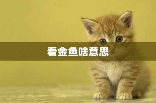 看金魚啥意思