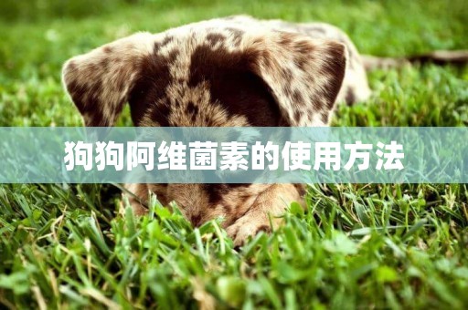 狗狗阿維菌素的使用方法