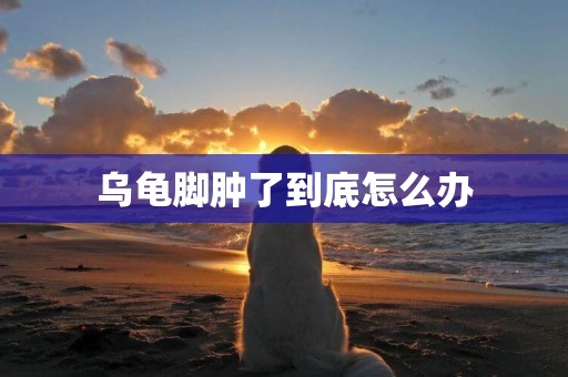 烏龜腳腫了到底怎么辦