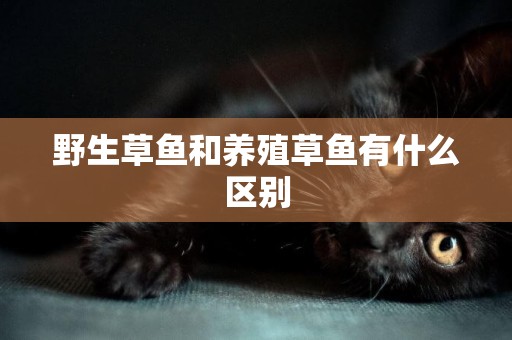 野生草魚和養殖草魚有什么區別