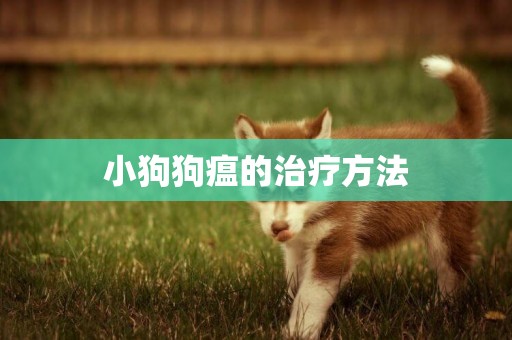 小狗狗瘟的治療方法