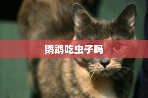 鸚鵡吃蟲子嗎