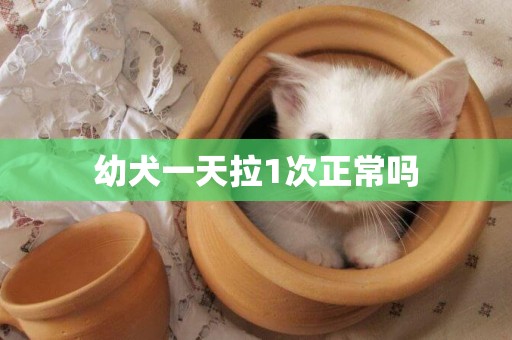 幼犬一天拉1次正常嗎