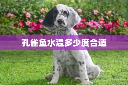 孔雀魚水溫多少度合適