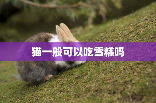 貓一般可以吃雪糕嗎