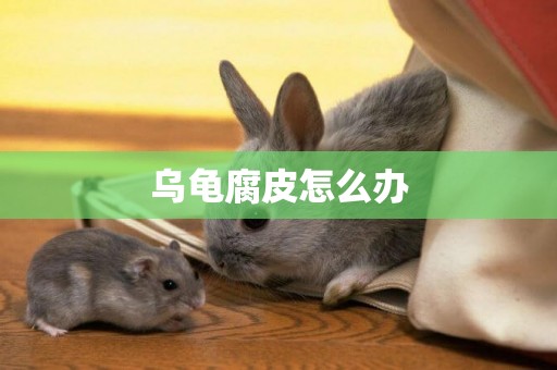 烏龜腐皮怎么辦