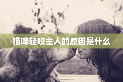 貓咪輕咬主人的原因是什么