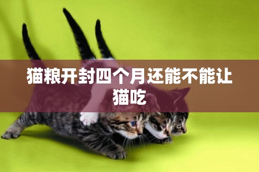 貓糧開封四個月還能不能讓貓吃