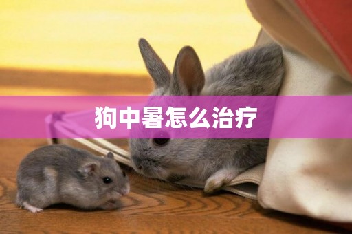 狗中暑怎么治療