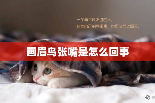畫眉鳥張嘴是怎么回事