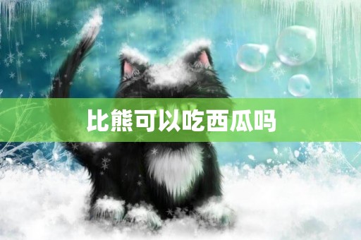 比熊可以吃西瓜嗎