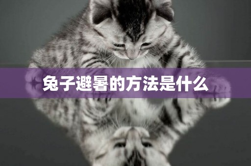 兔子避暑的方法是什么