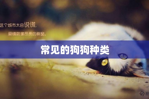 常見的狗狗種類