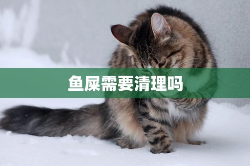 魚屎需要清理嗎