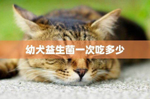 幼犬益生菌一次吃多少